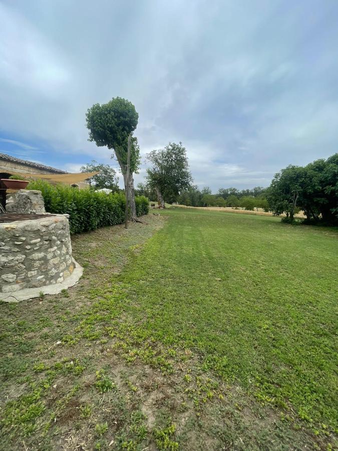 Bed & Breakfast Relais Aeclanum